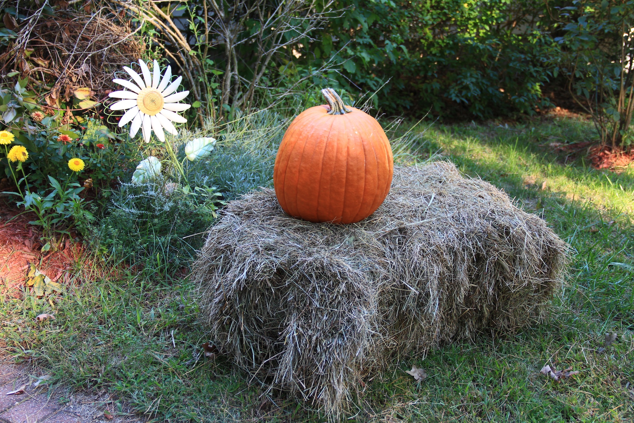 Fall 002