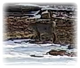 collage image title